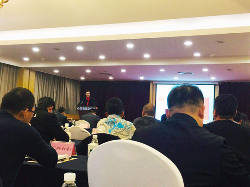 青島中新華美塑料有限公司總經(jīng)理王東先生在會(huì)議廳發(fā)表演講
