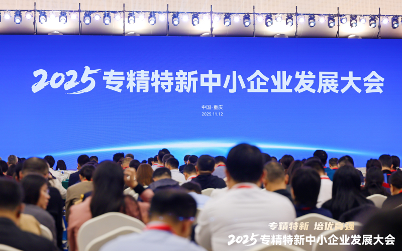 2025專精特新中小企業(yè)發(fā)展大會